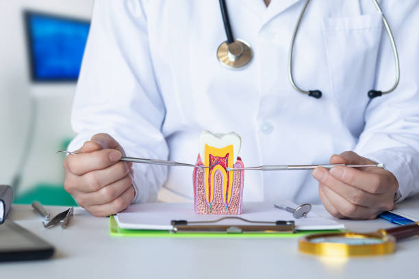 Best Holiday Emergency Dentist in Lathrop, MO
